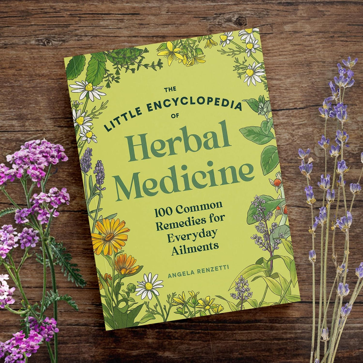 The Little Encyclopedia of Herbal Medicine: 100 Everyday Remedies from a Registered Herbalist and East Asian Medical Practitioner