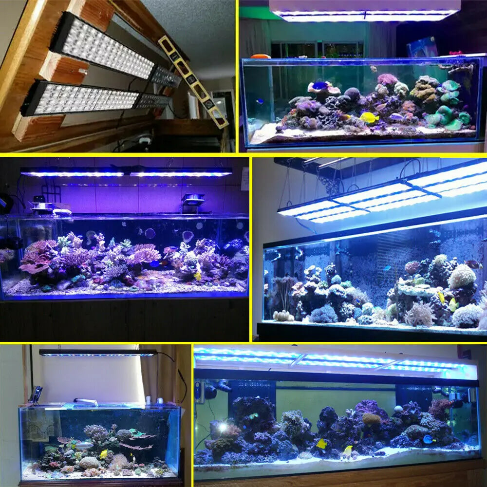 NEW PopBloom-Aquarium LED Lighting, Marine Aquarium Lamp Full Spectrum for 80-100cm 36" Reef Coral SPS/LPS Tank Light, H75, T75