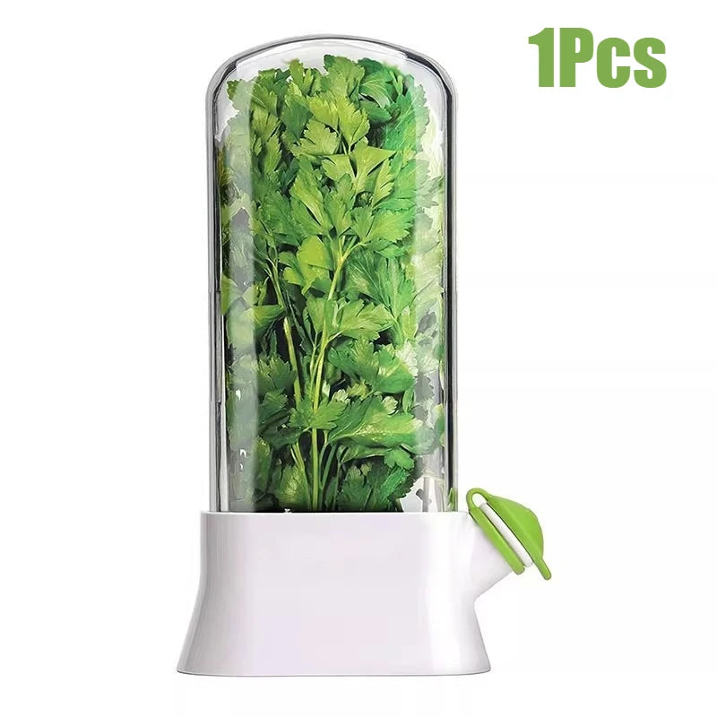 Herb Keeper for Refrigerator Keep Herbs Fresh Longer Premium Herb Saver Versatile Container for Cilantro Parsley Basil Mint