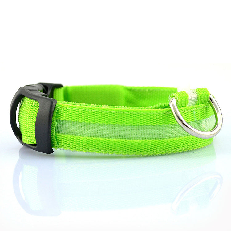USB Rechargeable LED Pet Dog Collar - Stylish, Safe, and Functional