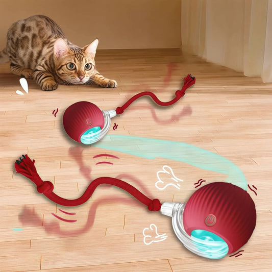 Rollraptor Interactive Pet Toy Ball