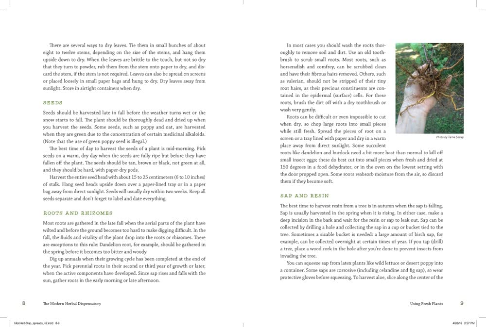 The Modern Herbal Dispensatory: A Medicine-Making Guide