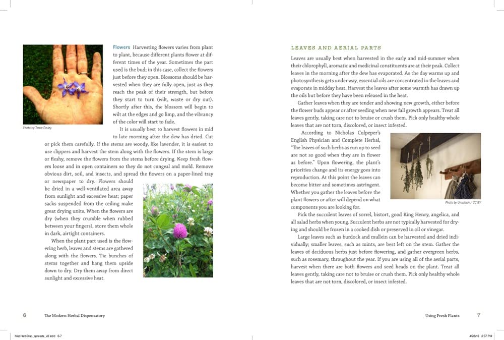 The Modern Herbal Dispensatory: A Medicine-Making Guide