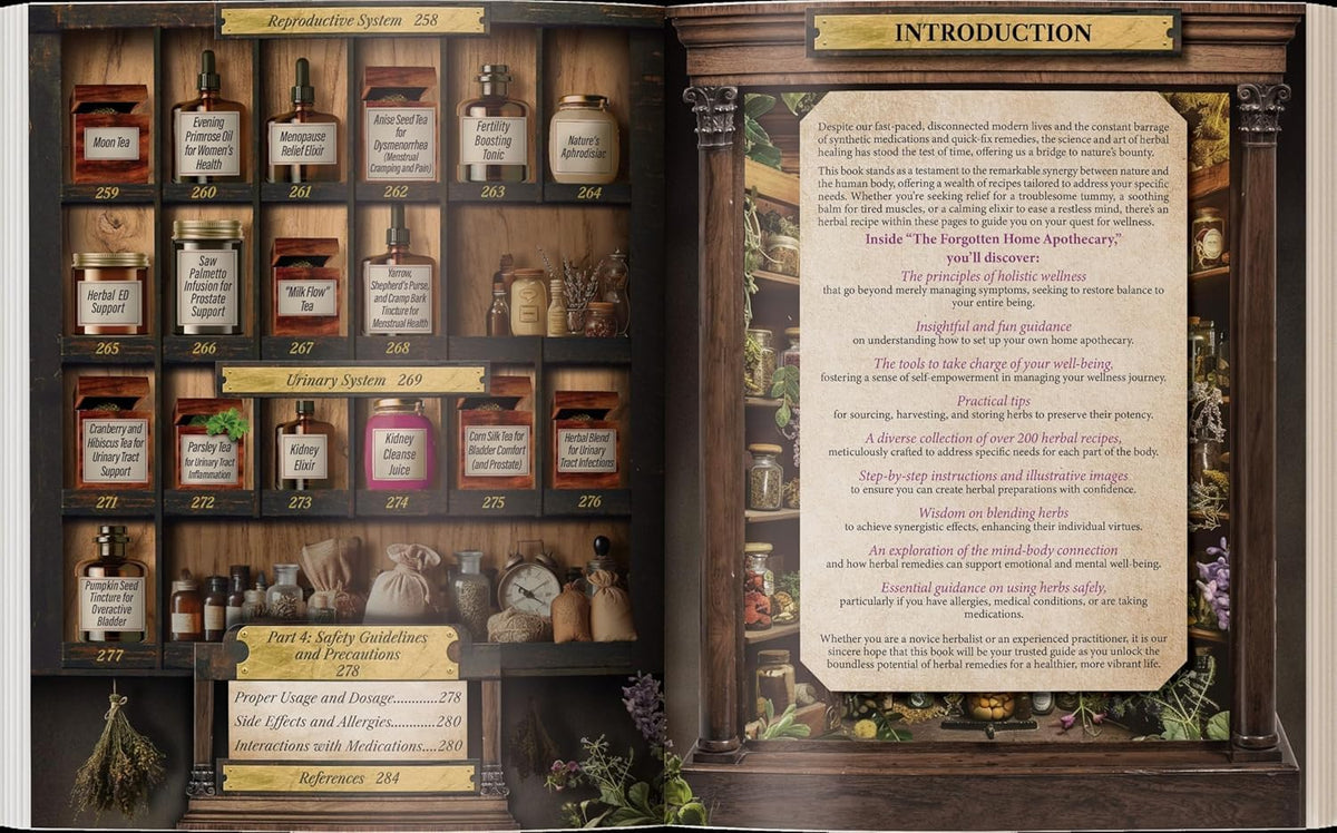 Forgotten Home Apothecary: 250 Powerful Remedies at Your Fingertips: 250 Powerful Remedies at Your Fingertips