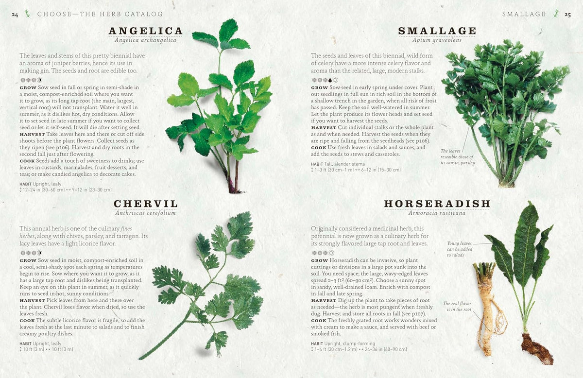 The Cook's Herb Garden: Grow, Harvest, Cook