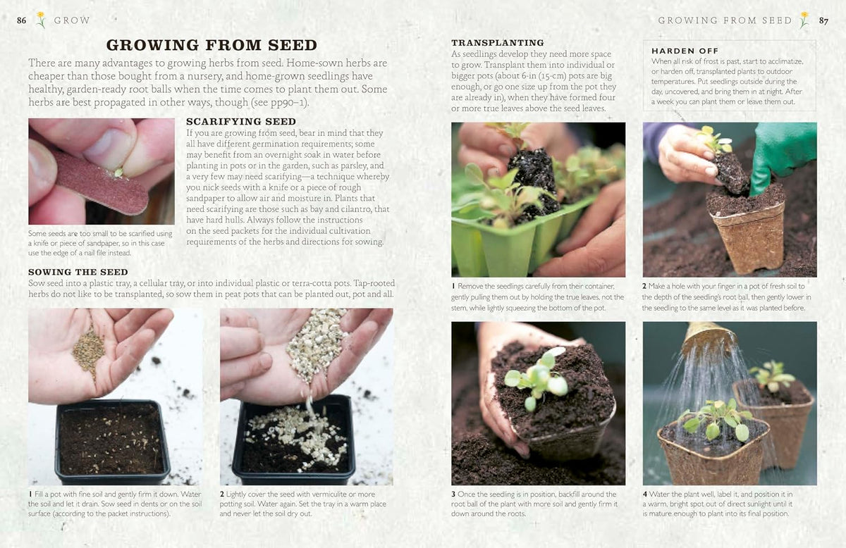 The Cook's Herb Garden: Grow, Harvest, Cook