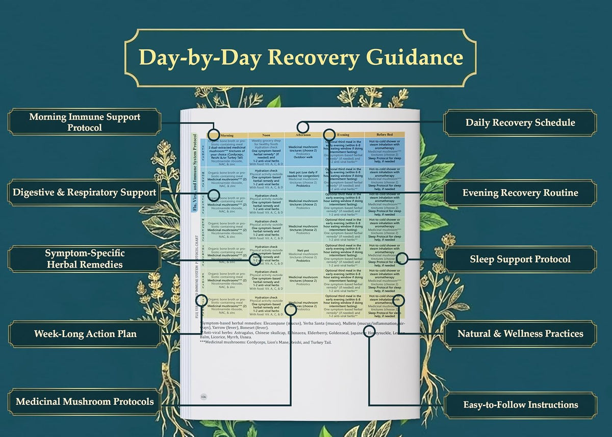 The Holistic Guide to Wellness : Herbal Protocols for Common Ailments