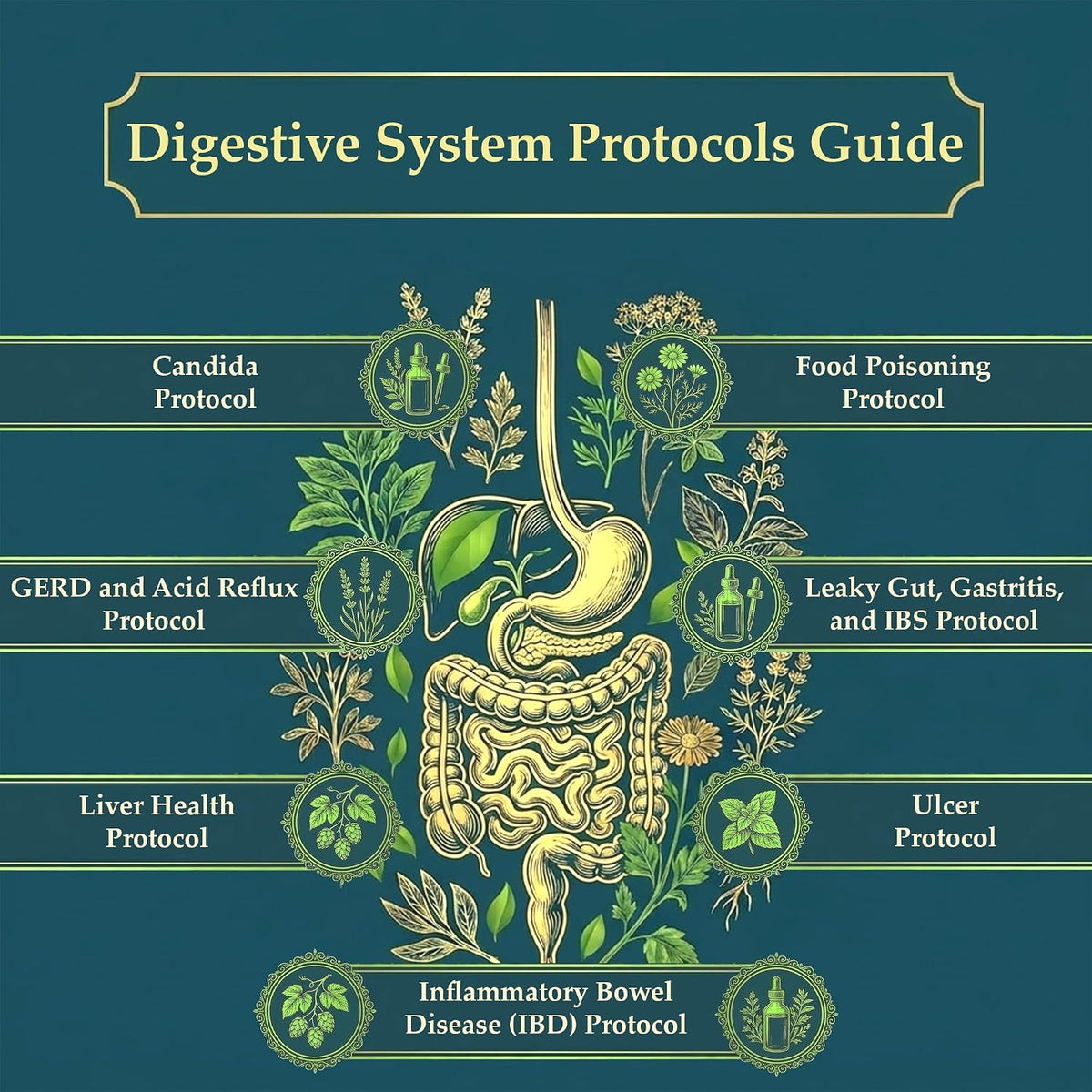 The Holistic Guide to Wellness : Herbal Protocols for Common Ailments
