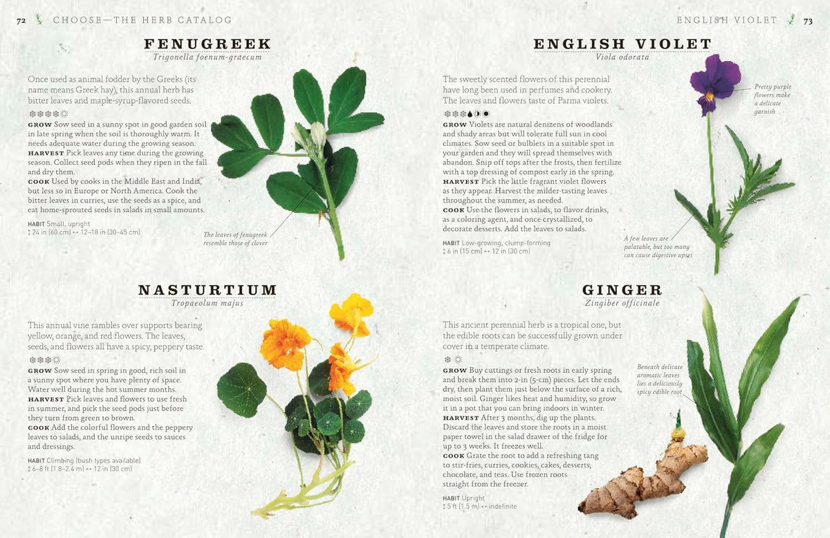 The Cook's Herb Garden: Grow, Harvest, Cook