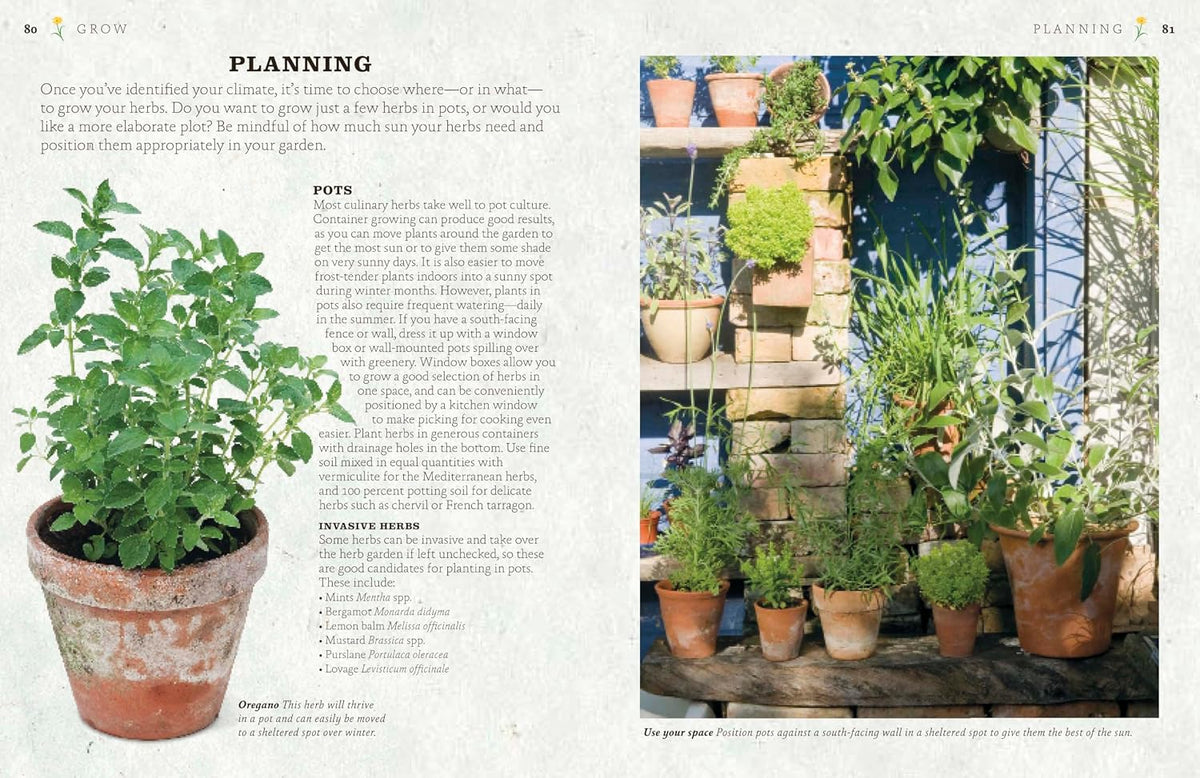 The Cook's Herb Garden: Grow, Harvest, Cook