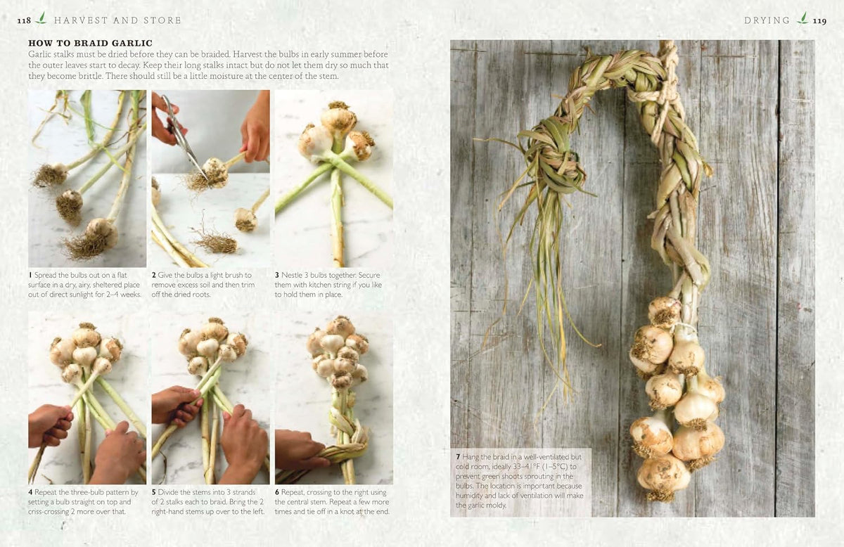 The Cook's Herb Garden: Grow, Harvest, Cook