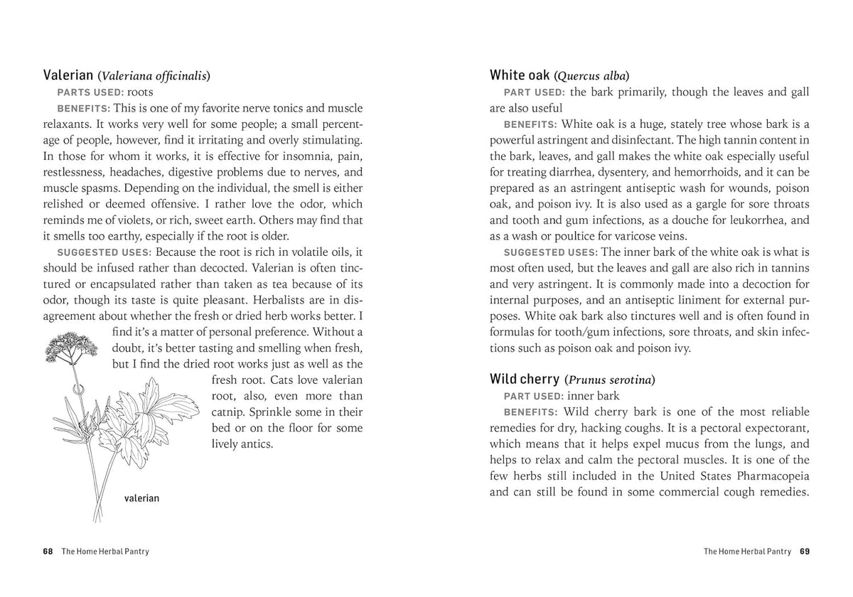 Herbs for Common Ailments: How to Make and Use Herbal Remedies for Home Health Care. A Storey BASICS® Title