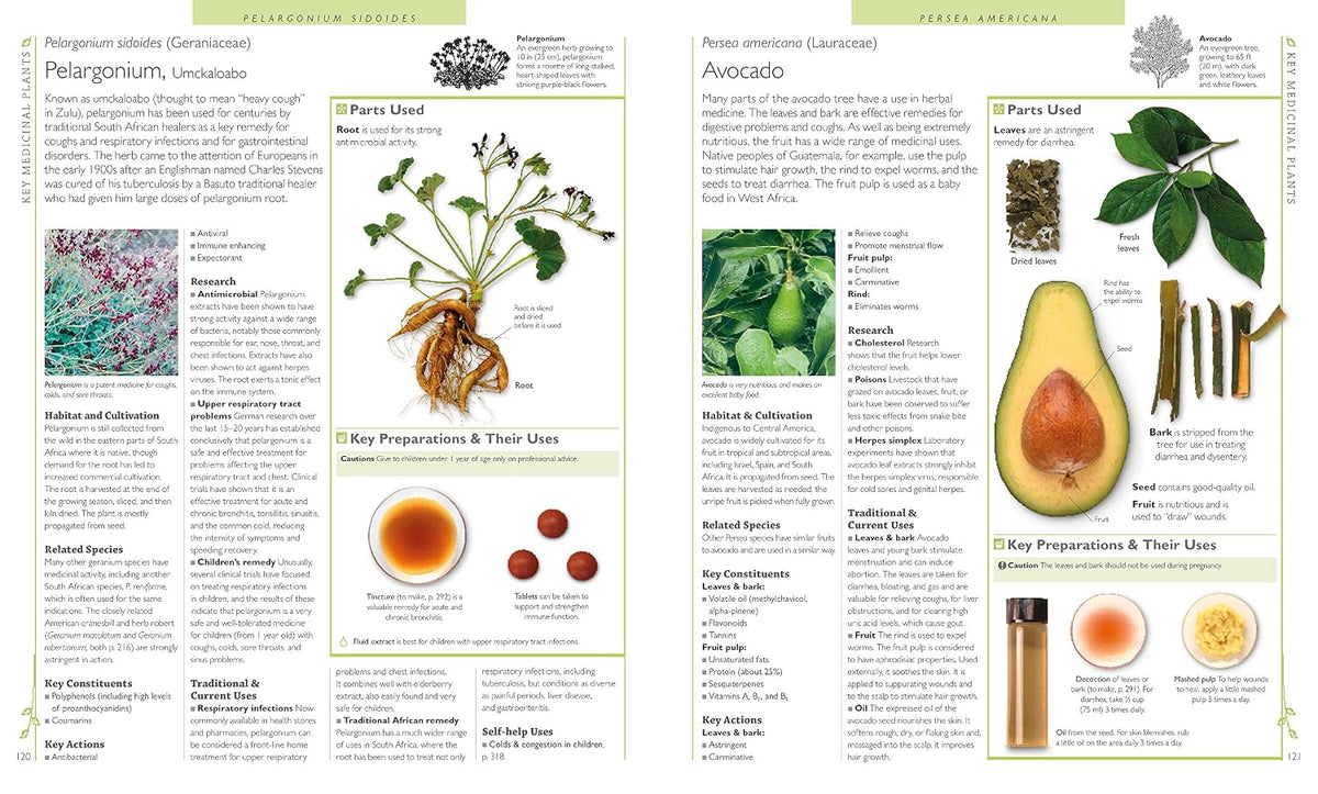 DK Encyclopedia of Herbal Medicine: 550 Herbs Loose Leaves and Remedies for Common Ailments