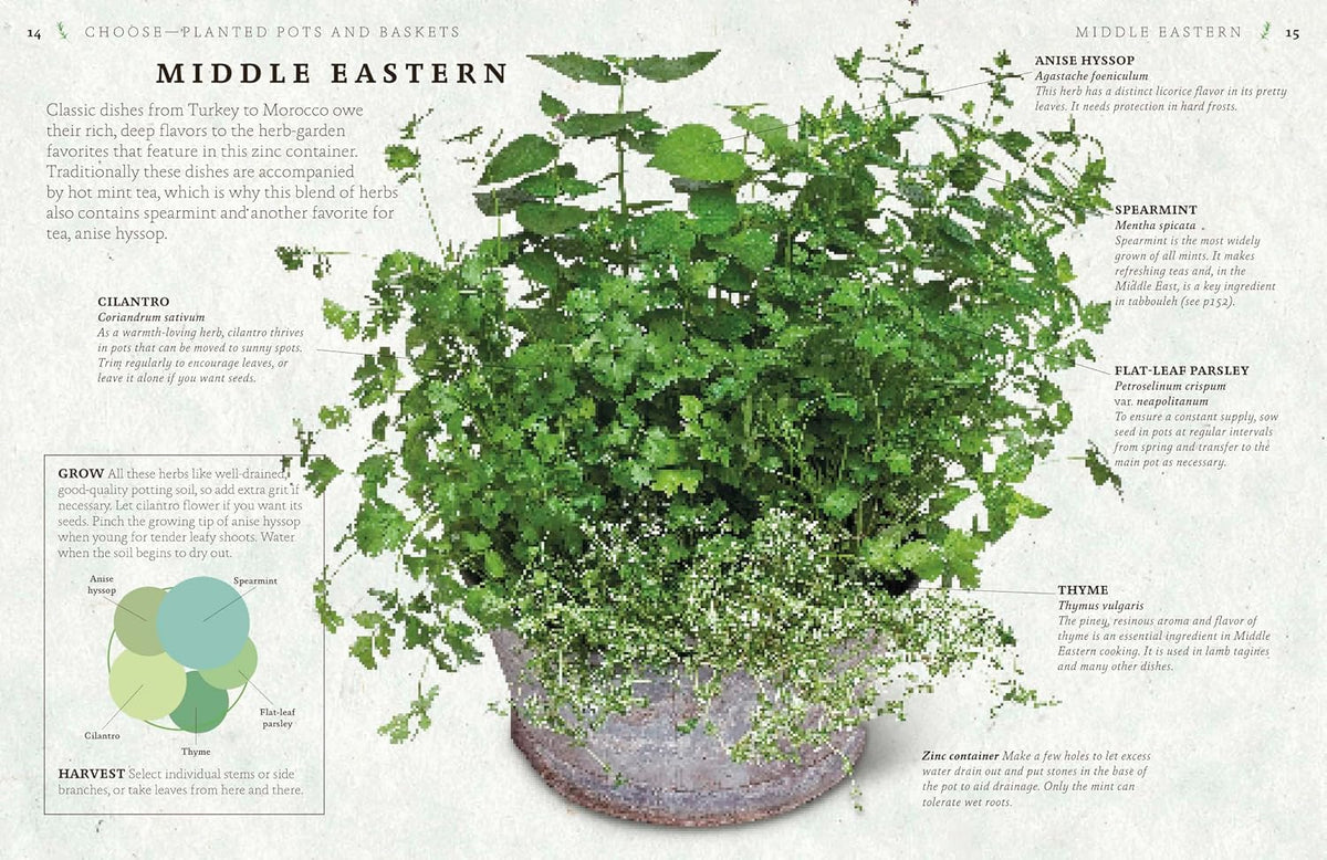 The Cook's Herb Garden: Grow, Harvest, Cook