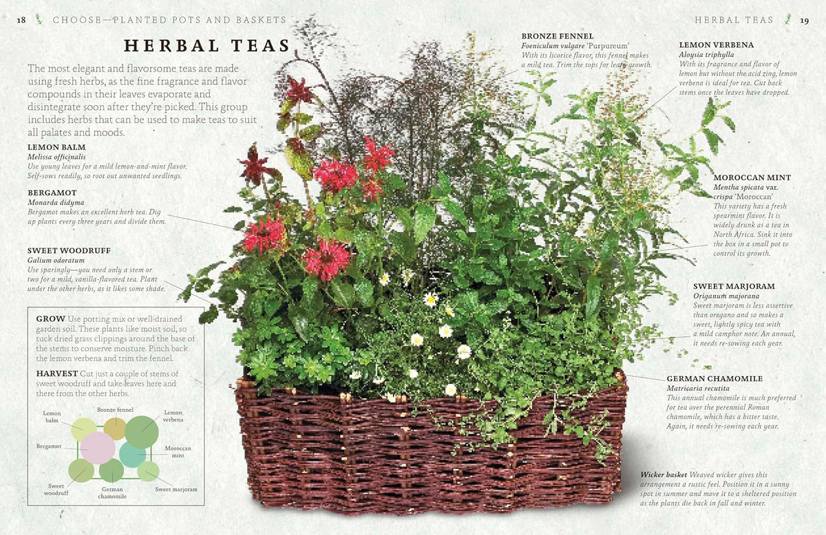 The Cook's Herb Garden: Grow, Harvest, Cook