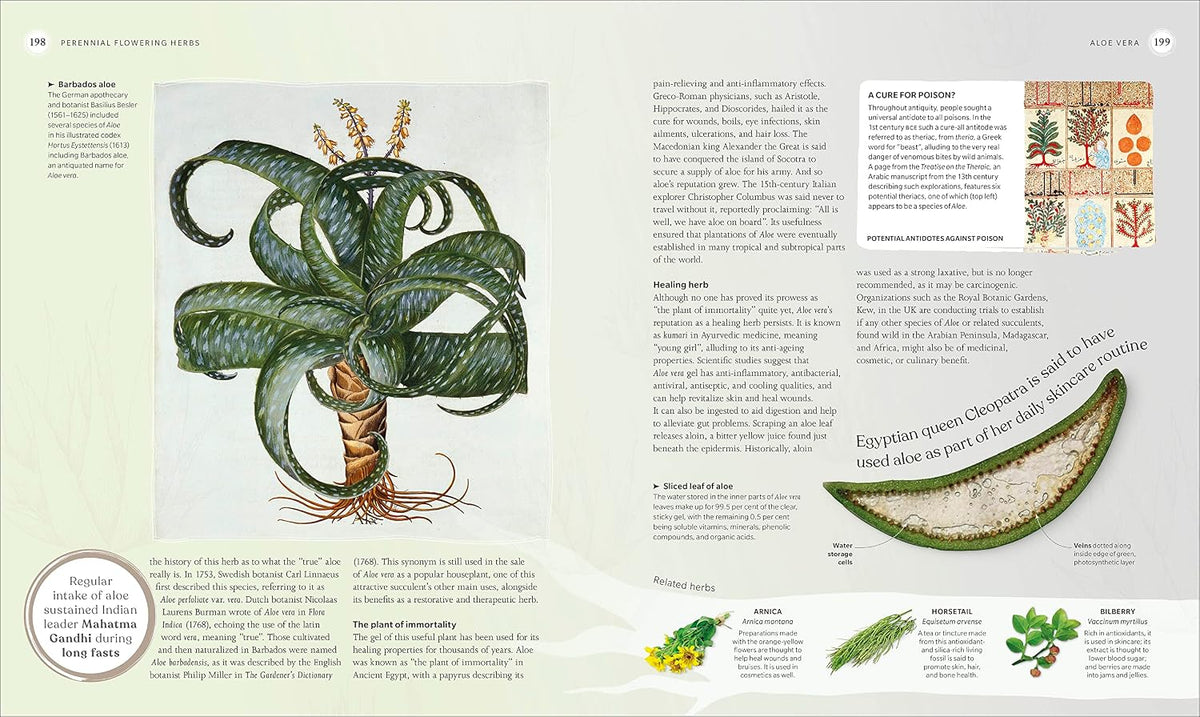 The Herb Book: The Stories, Science, and History of Herbs