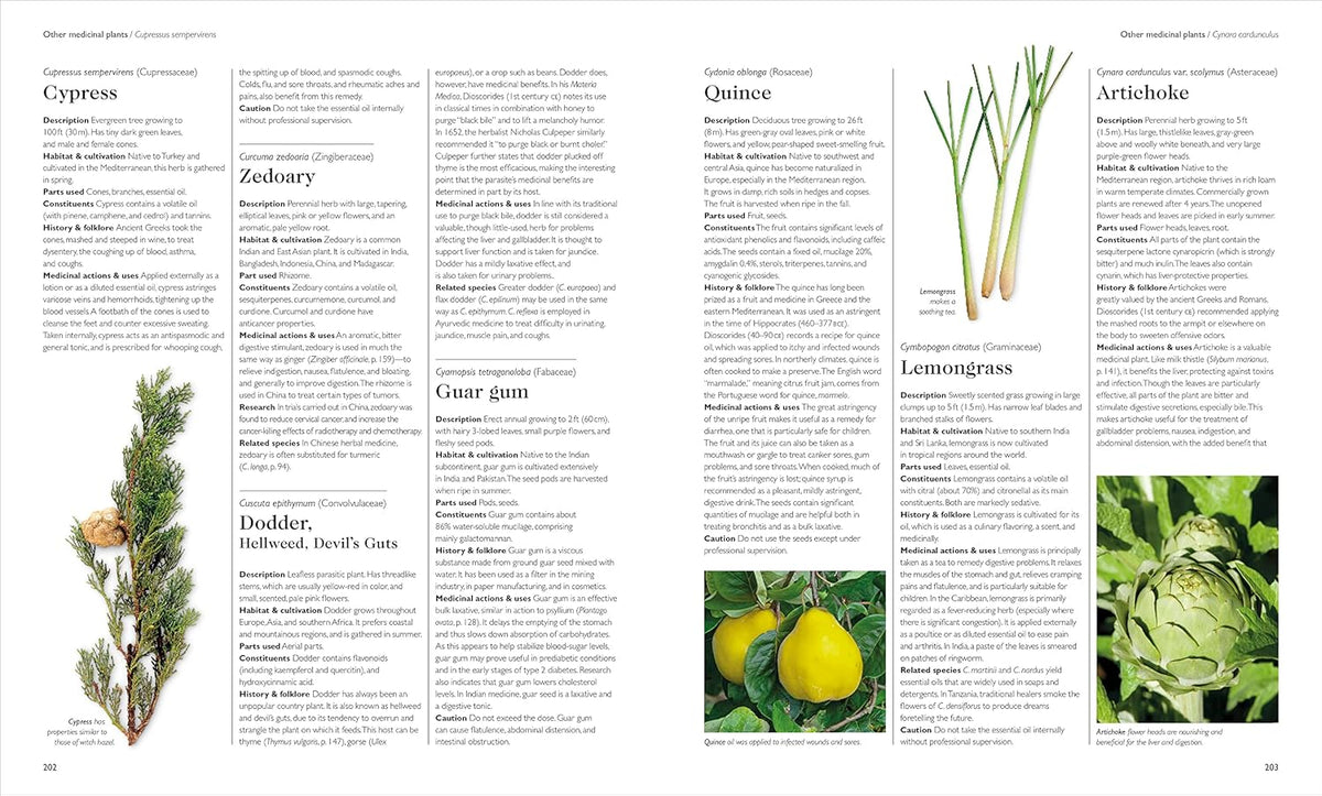 Encyclopedia of Herbal Medicine New Edition: 560 Herbs and Remedies for Common Ailments