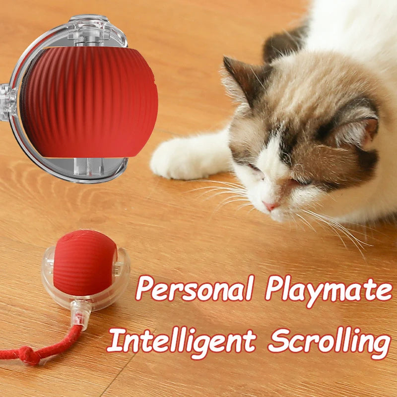 Rollraptor Interactive Pet Toy Ball