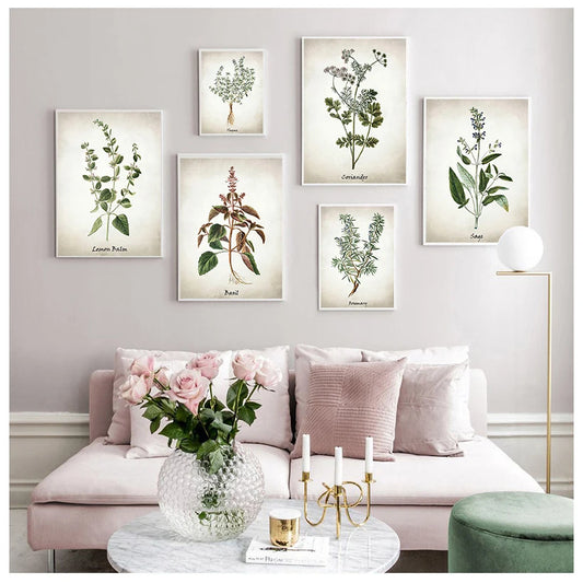 Herb Canvas Art Painting Vintage Herbal Illustrations Posters and Prints Culinary Herbs Botanical Kitchen Wall Art Picture Decor