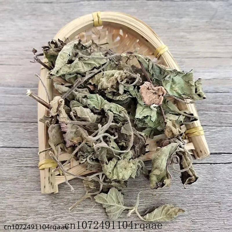 Pure Natural Herbal Spice Dried Agastache Rugosa Leaf Premium Dried Patchouli/Perilla Leaf for Aromatherapy & DIY Crafts