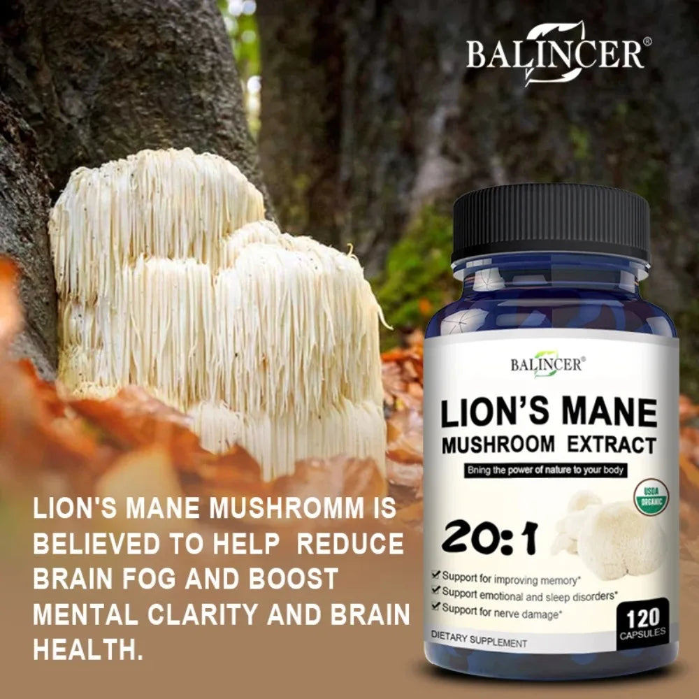 Lion's Mane Mushroom Capsules - Strengthens The Brain, Memory and Cognition, Improves Mood and Sleep Quality Supplements