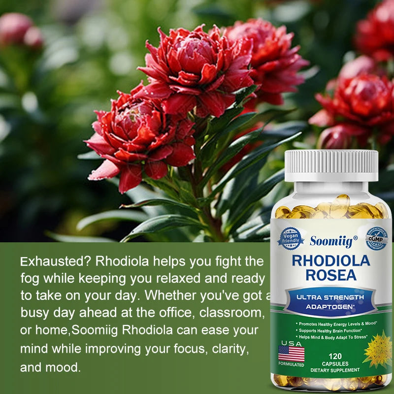 Rhodiola Rosea Capsules - High Strength Rhodiola Rosea Complex Supplement, Mood, Brain, Non-GMO, Gluten-Free