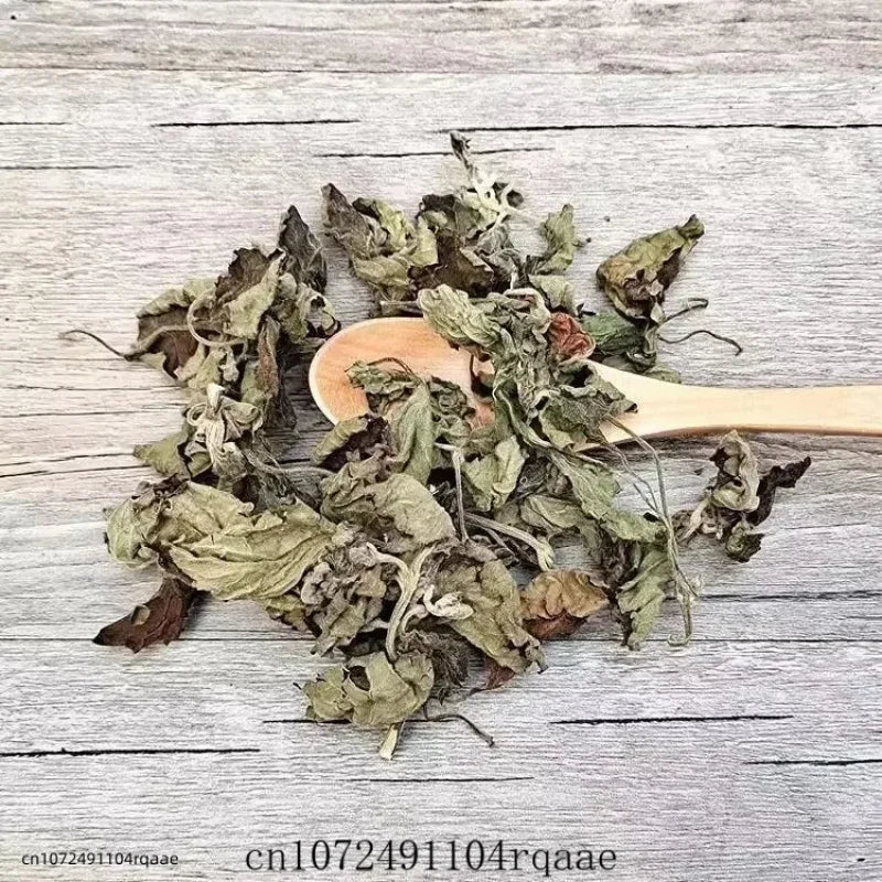 Pure Natural Herbal Spice Dried Agastache Rugosa Leaf Premium Dried Patchouli/Perilla Leaf for Aromatherapy & DIY Crafts