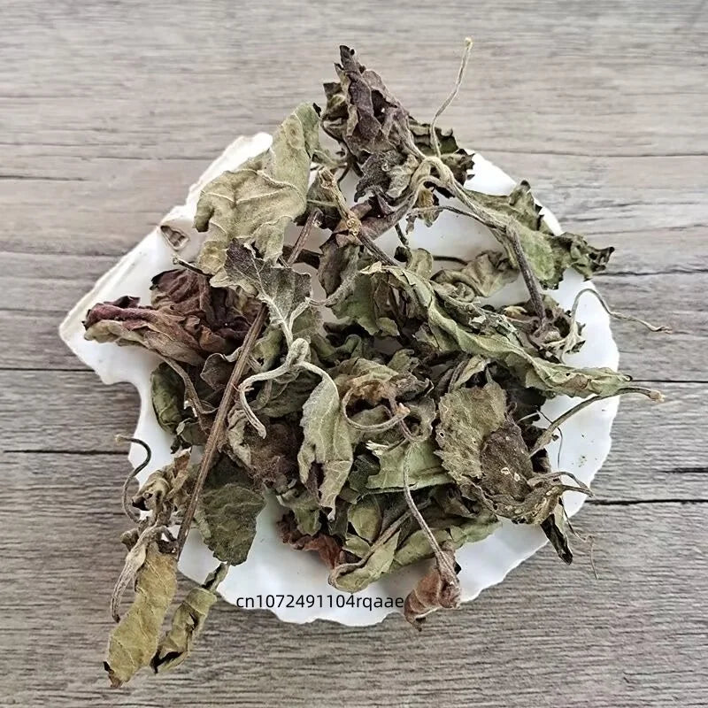 Top Dried Patchouli/Perilla Leaf Pure Natural Herbal Spice Dried Agastache Rugosa Leaf for Aromatherapy & DIY Crafts