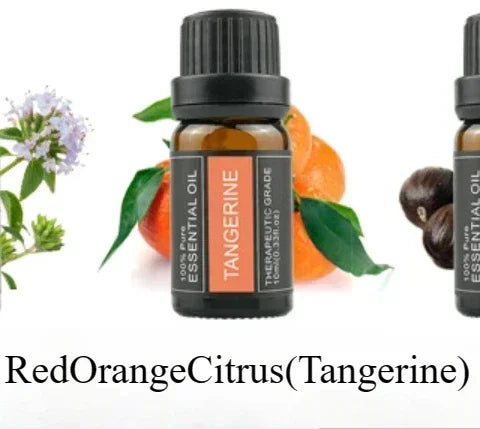 Huiles essentielles végétales 10ml en emballage individuel - thym, valériane, arbre à thé, lavande, huiles naturelles de massage et d'aromathérapie pour la relaxation