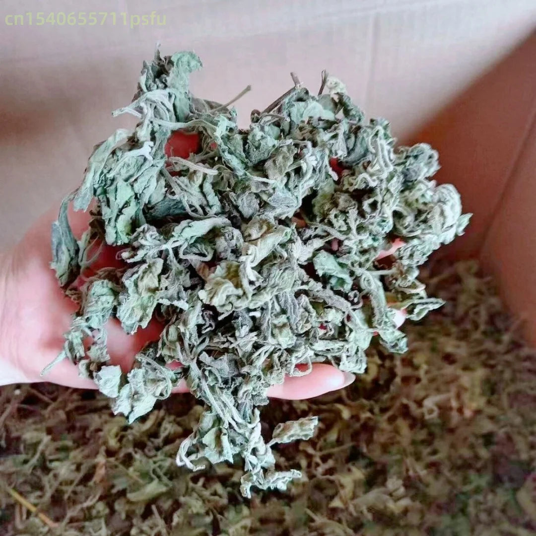 Top Dried Patchouli/Perilla Leaf Pure Natural Herbal Spice Dried Agastache Rugosa Leaf for Aromatherapy & DIY Crafts
