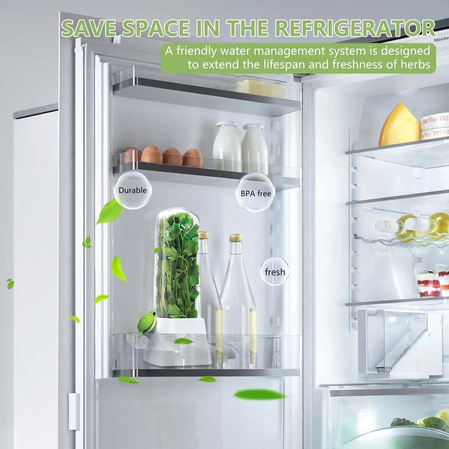 Herb Keeper for Refrigerator Keep Herbs Fresh Longer Premium Herb Saver Versatile Container for Cilantro Parsley Basil Mint