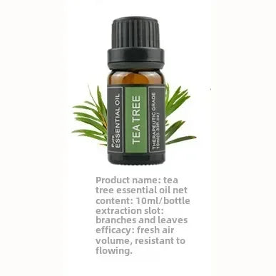 Huiles essentielles végétales 10ml en emballage individuel - thym, valériane, arbre à thé, lavande, huiles naturelles de massage et d'aromathérapie pour la relaxation