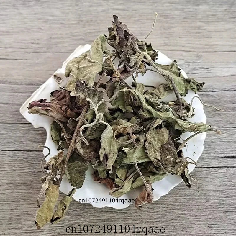 Pure Natural Herbal Spice Dried Agastache Rugosa Leaf Premium Dried Patchouli/Perilla Leaf for Aromatherapy & DIY Crafts