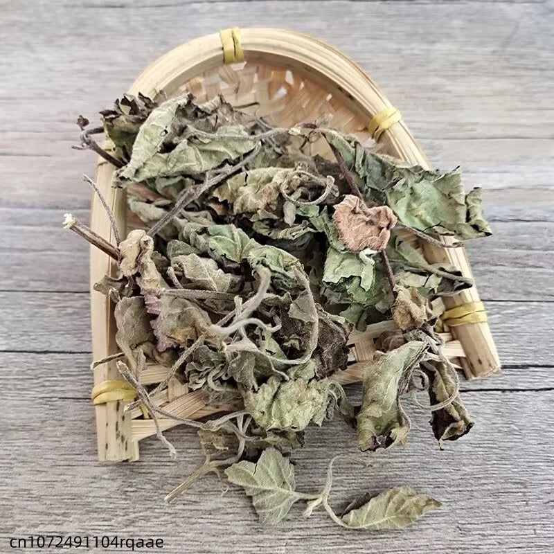 Top Dried Patchouli/Perilla Leaf Pure Natural Herbal Spice Dried Agastache Rugosa Leaf for Aromatherapy & DIY Crafts