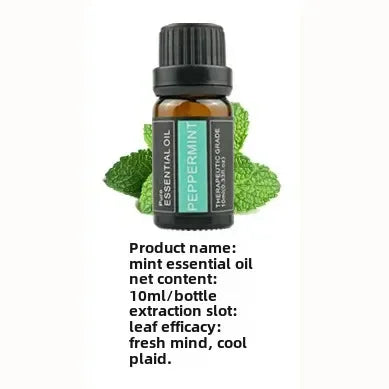 Huiles essentielles végétales 10ml en emballage individuel - thym, valériane, arbre à thé, lavande, huiles naturelles de massage et d'aromathérapie pour la relaxation