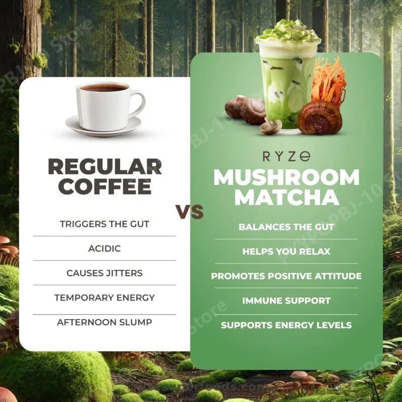 Complément biologique de champignons et matcha avec ganoderma lucidum et crinière de lion, 180 g de nutriments naturels