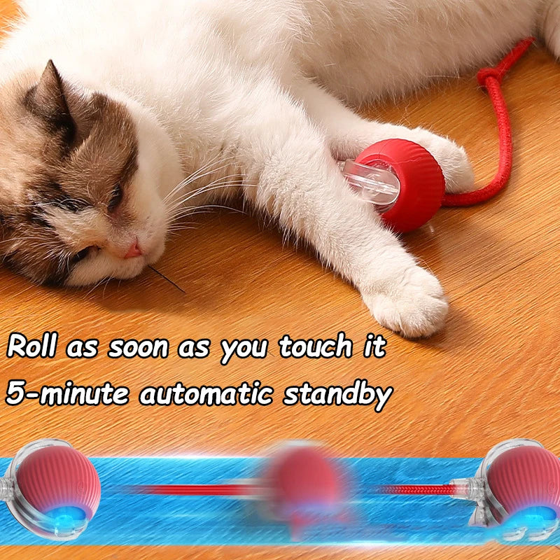 Rollraptor Interactive Pet Toy Ball