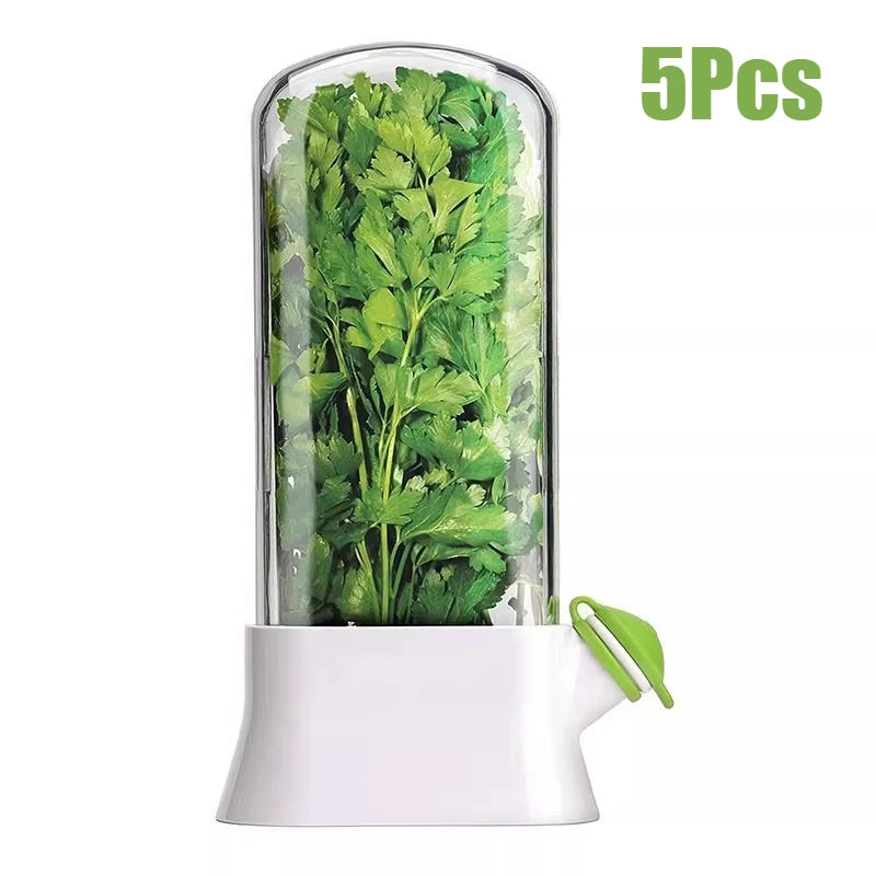 Herb Keeper for Refrigerator Keep Herbs Fresh Longer Premium Herb Saver Versatile Container for Cilantro Parsley Basil Mint
