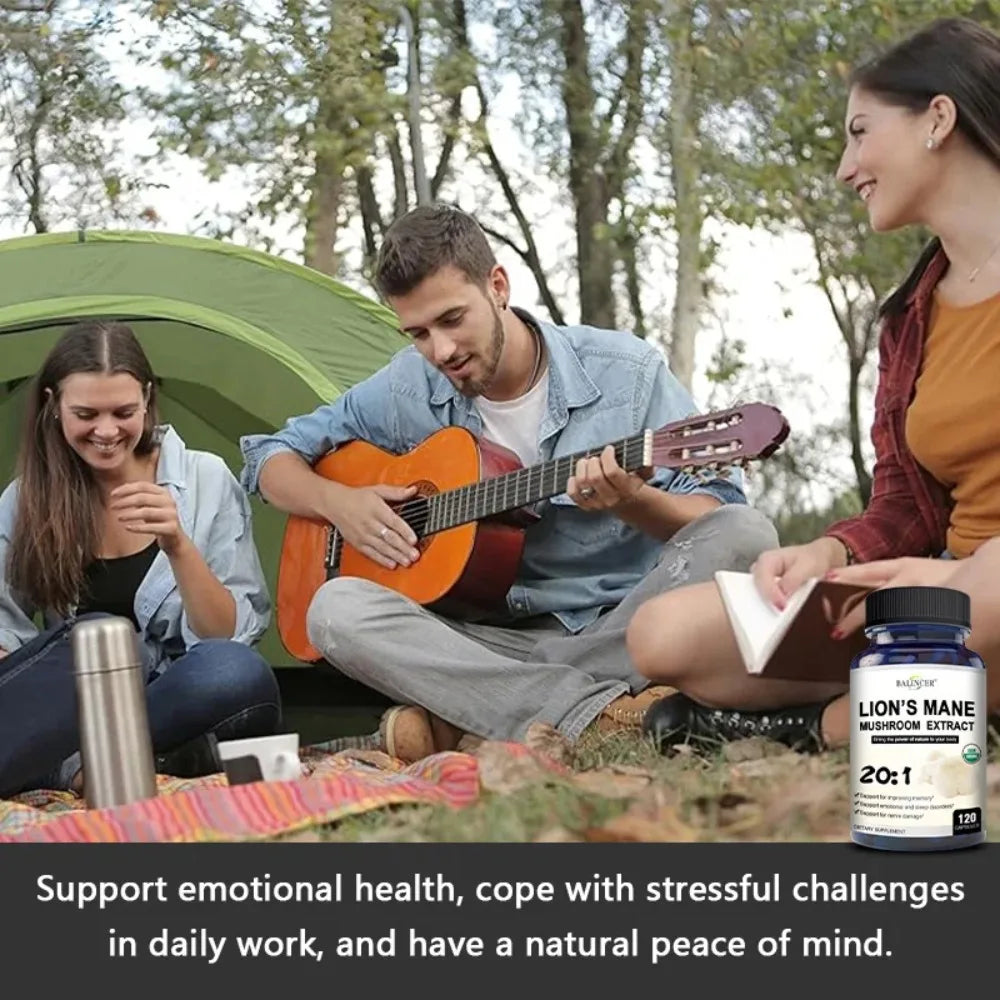 Lion's Mane Mushroom Capsules - Strengthens The Brain, Memory and Cognition, Improves Mood and Sleep Quality Supplements