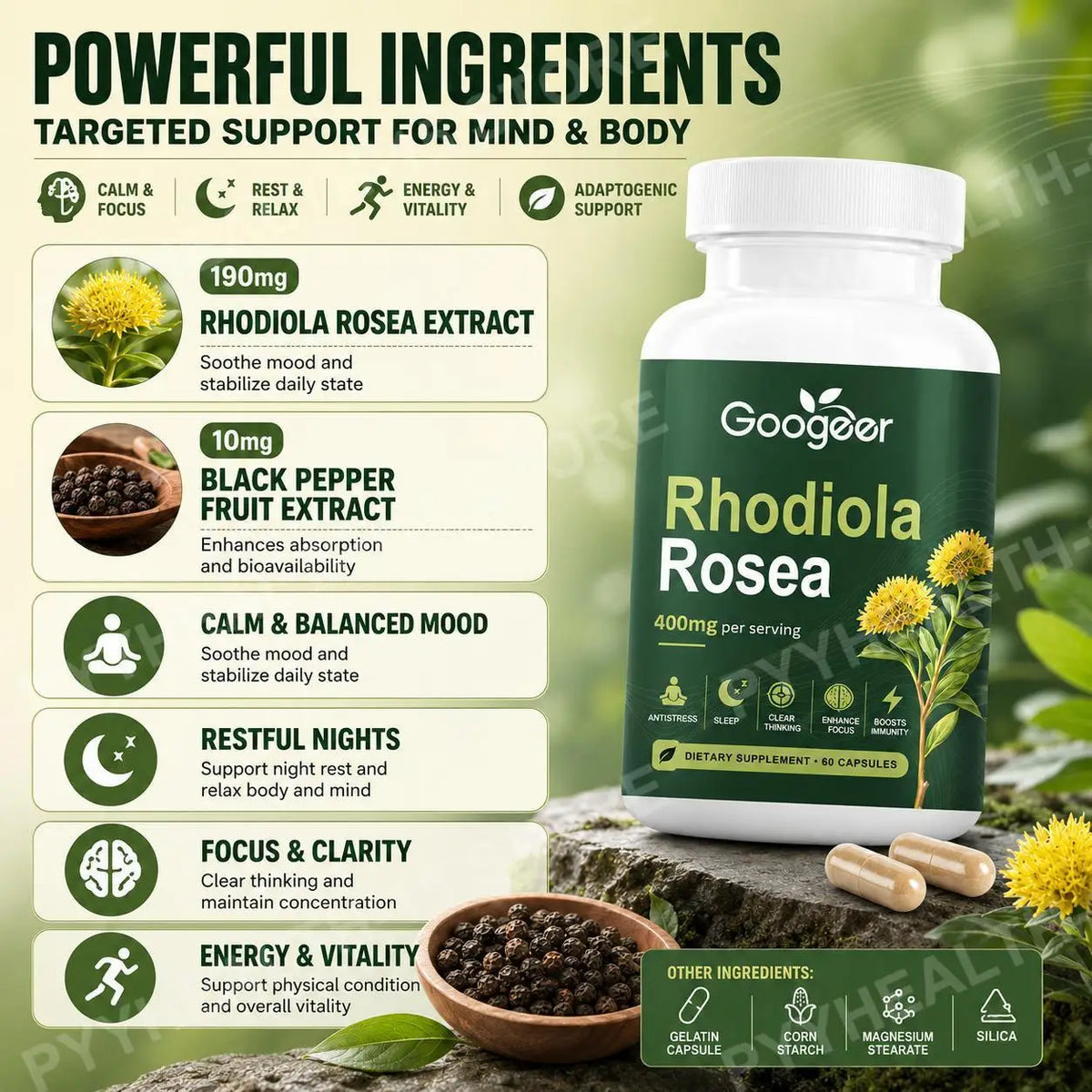 Gélules de rhodiola rosea Googeer 400mg équivalent racine, avec extrait de poivre noir, 60 unités, complément botanique quotidien pour le bien-être