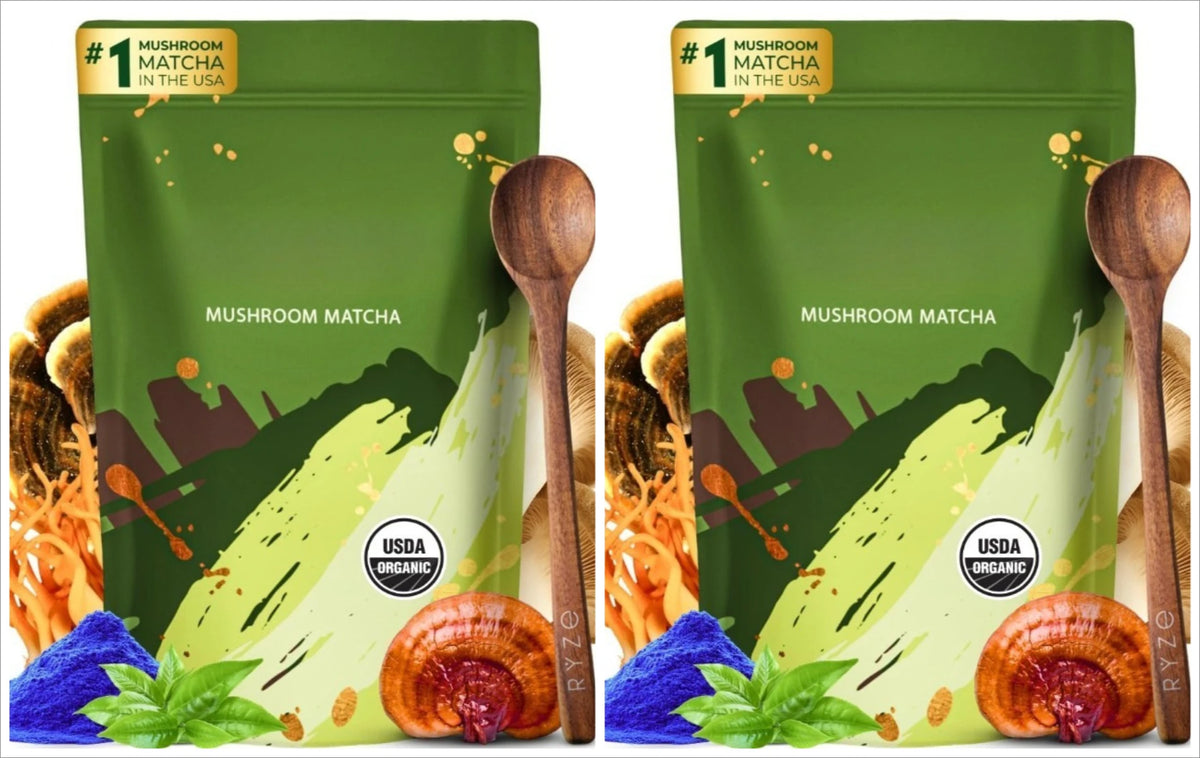 Complément biologique de champignons et matcha avec ganoderma lucidum et crinière de lion, 180 g de nutriments naturels