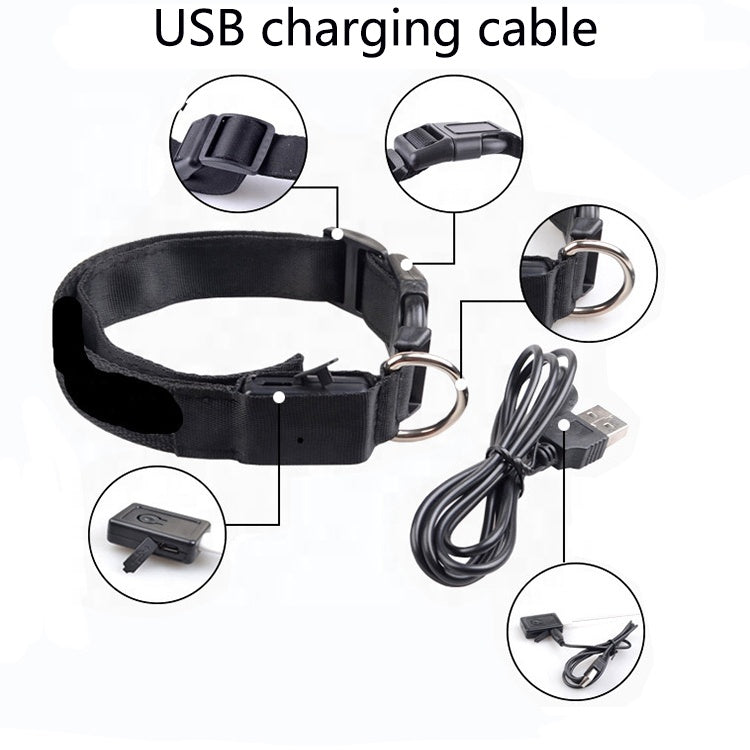 USB Rechargeable LED Pet Dog Collar - Stylish, Safe, and Functional