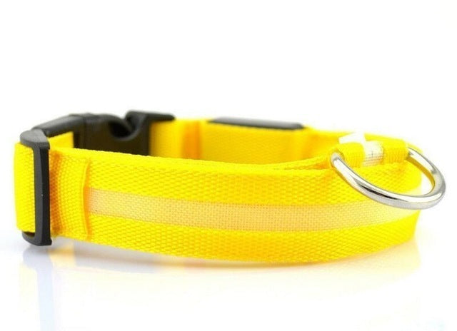 USB Rechargeable LED Pet Dog Collar - Stylish, Safe, and Functional