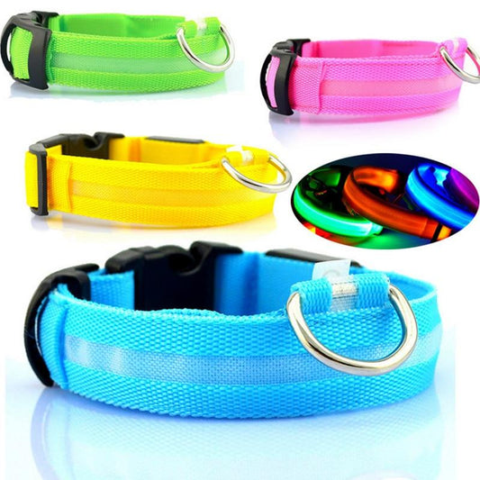 USB Rechargeable LED Pet Dog Collar - Stylish, Safe, and Functional