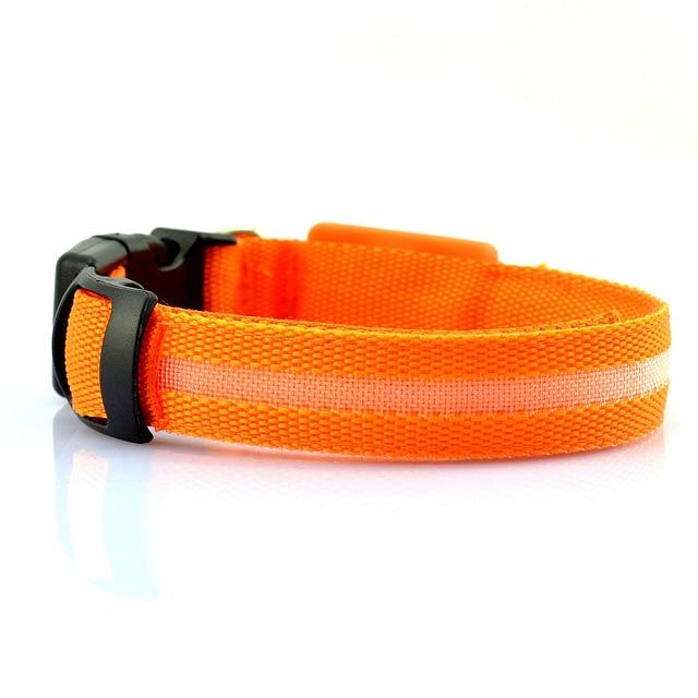 USB Rechargeable LED Pet Dog Collar - Stylish, Safe, and Functional
