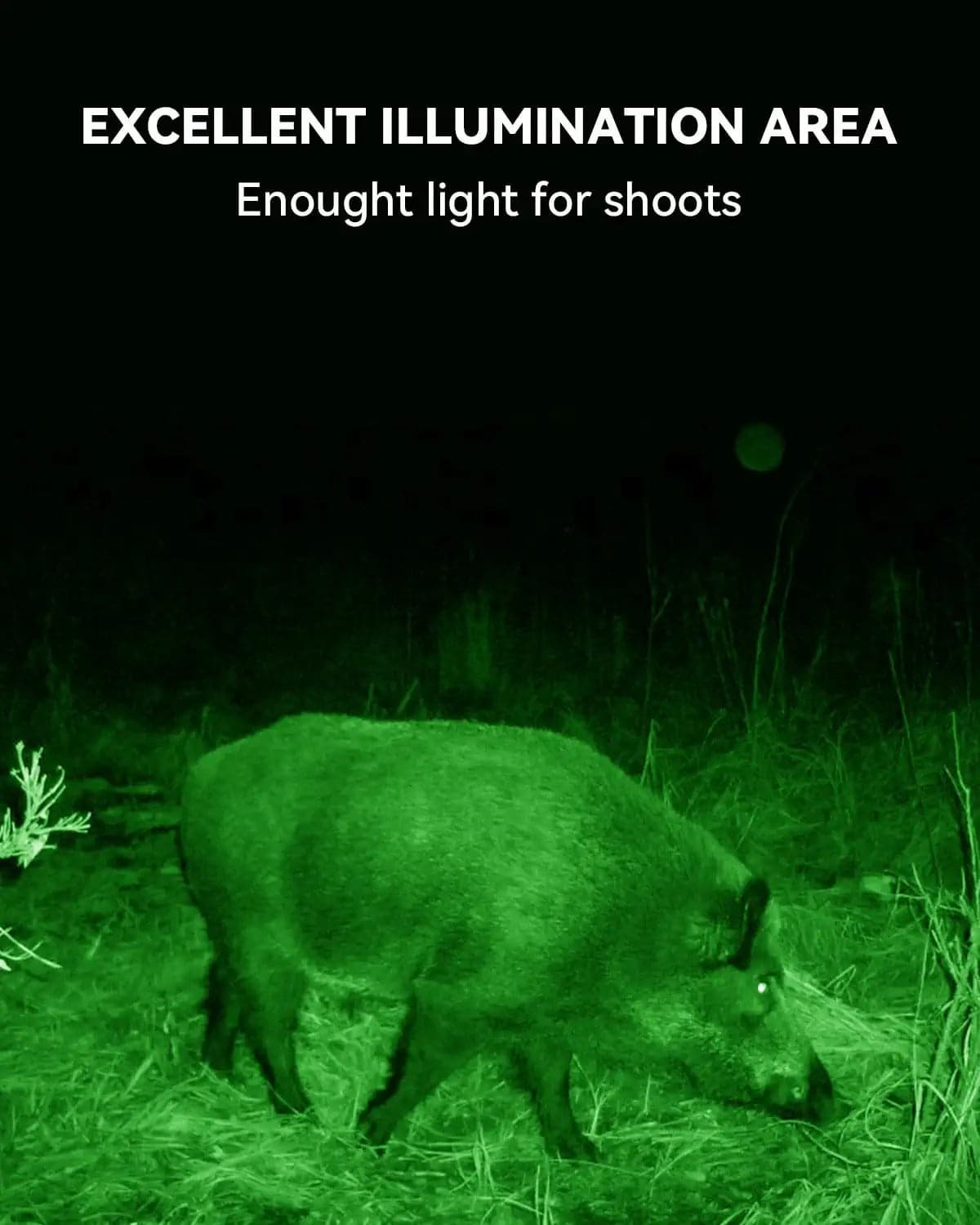 Solar Green Light for Hunting Hogs Deer,Fish light -15,000lumens